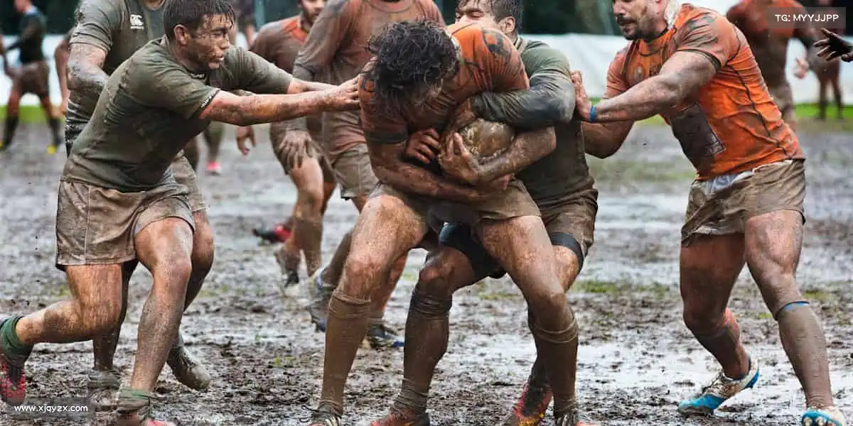 db真人旗舰集团——每一步，都为热爱！🏃♀️​